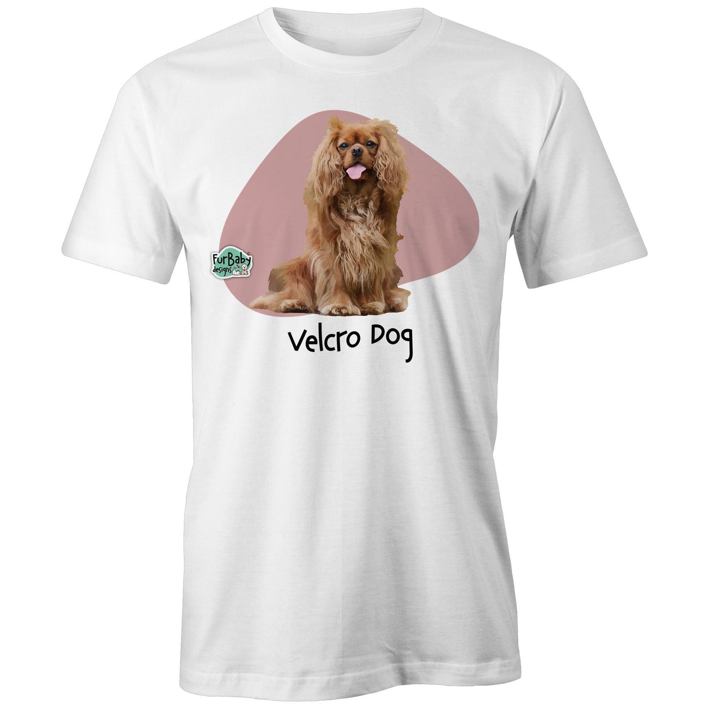 Cavalier - Velcro Dog