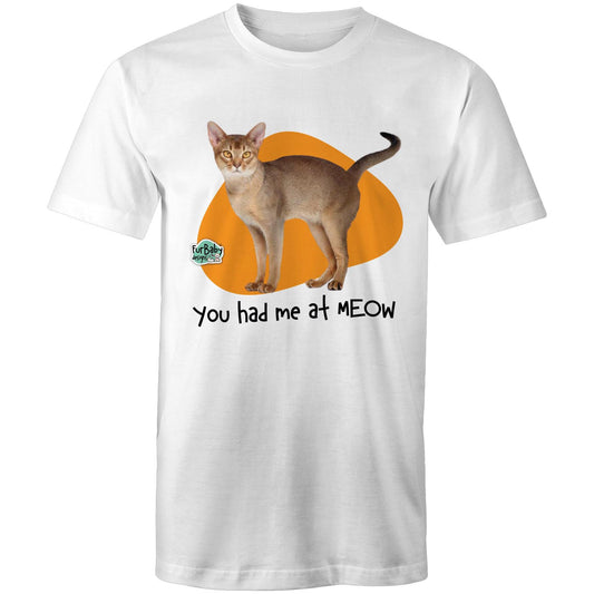 Abyssinian Cat - "You had me at MEOW"