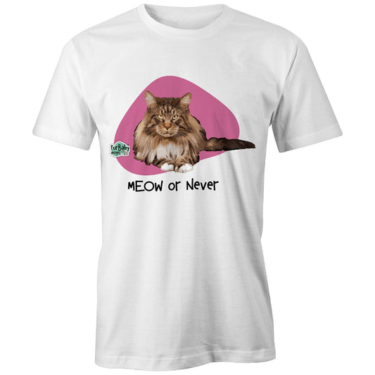 Maine Coon - Meow or Never (Imitari)