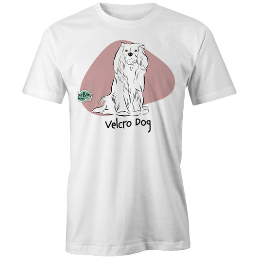 Cavalier - Velcro Dog