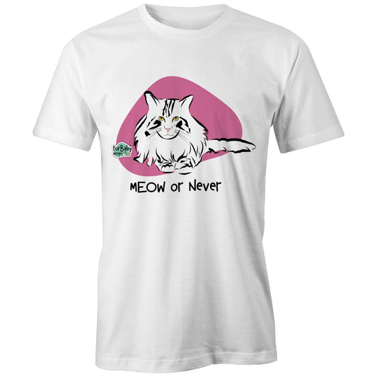 Maine Coon - Meow or Never (sketchy)
